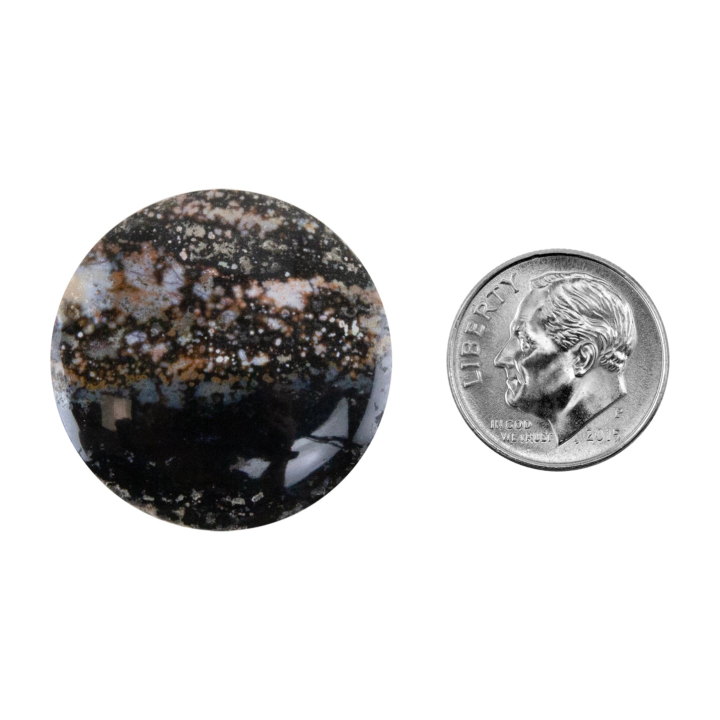 Opalwood - Round Cabochon 28mm - Pkg/1 with dime