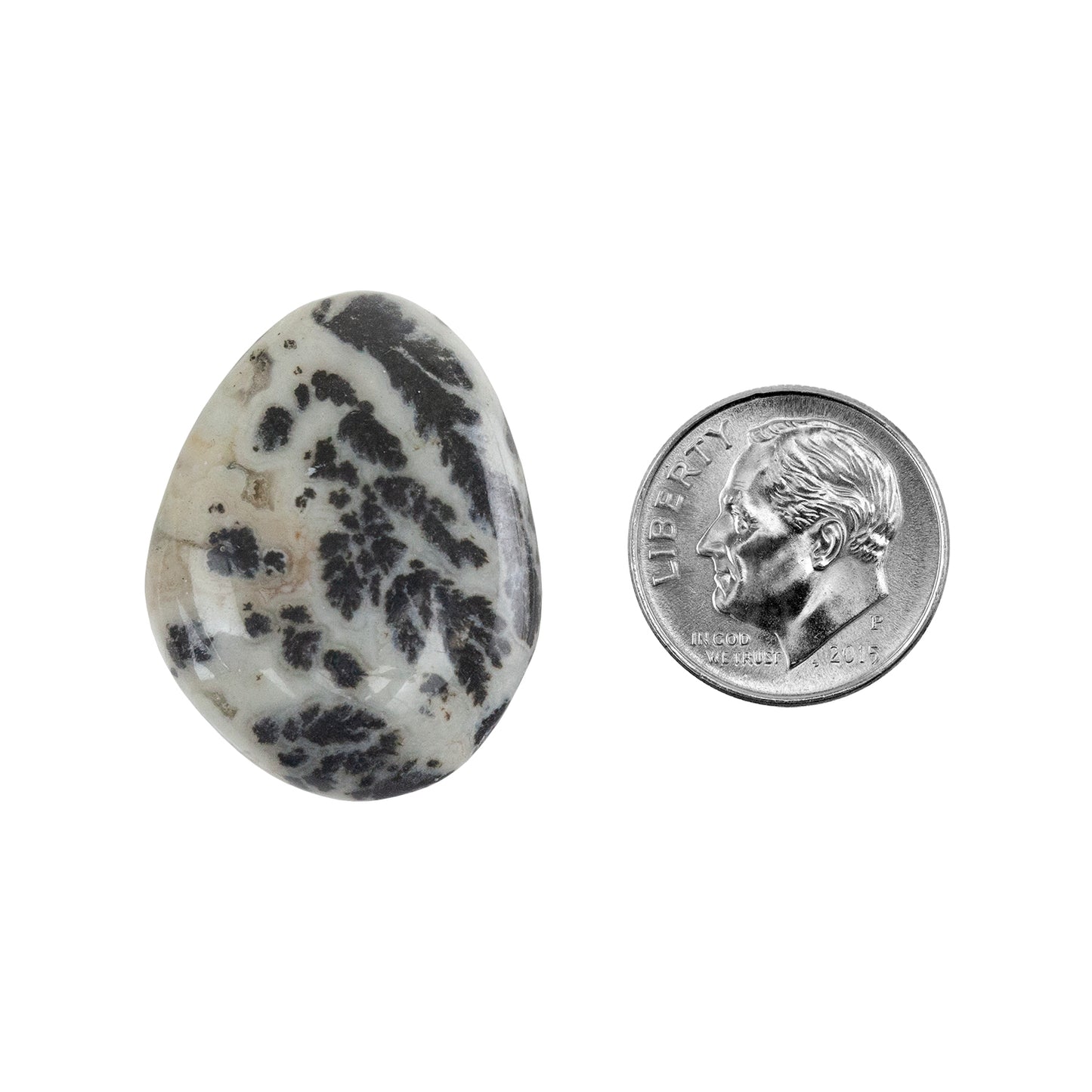Dendritic Agate Gemstone - Freeform Cabochon 27mm x 21mm - Pkg/1 with dime