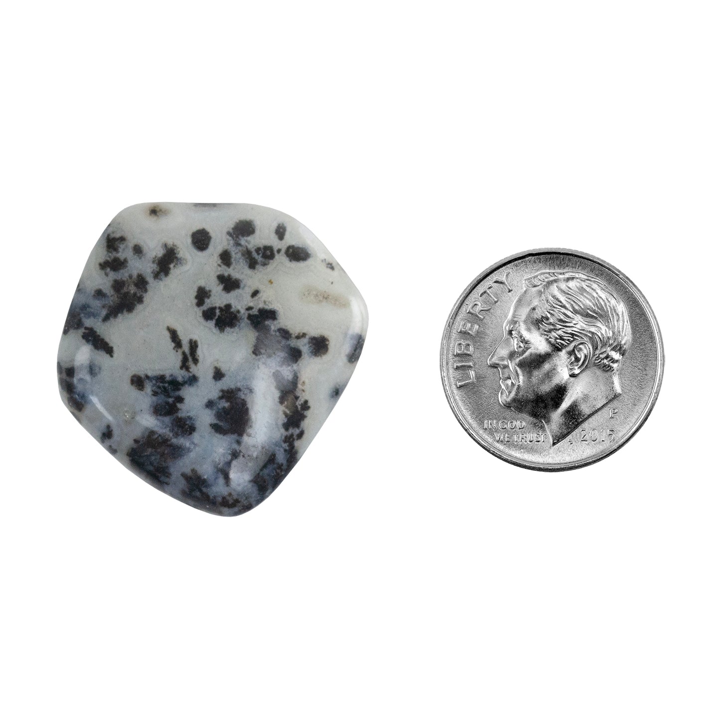 Dendritic Agate Gemstone - Freeform Cabochon 27mm x 26mm - Pkg/1 with dime
