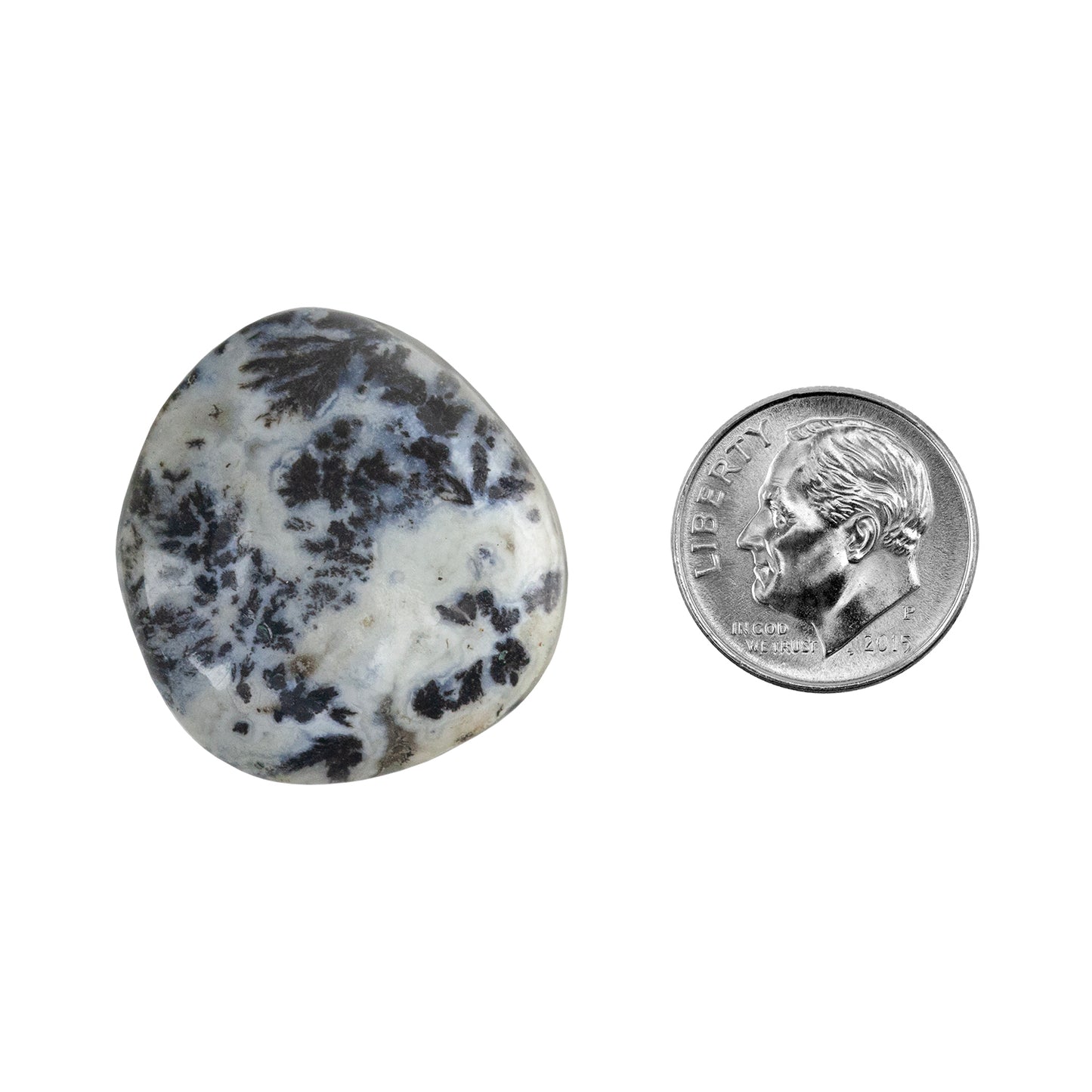 Dendritic Agate Gemstone - Freeform Cabochon 27mm x 26mm - Pkg/1 with dime
