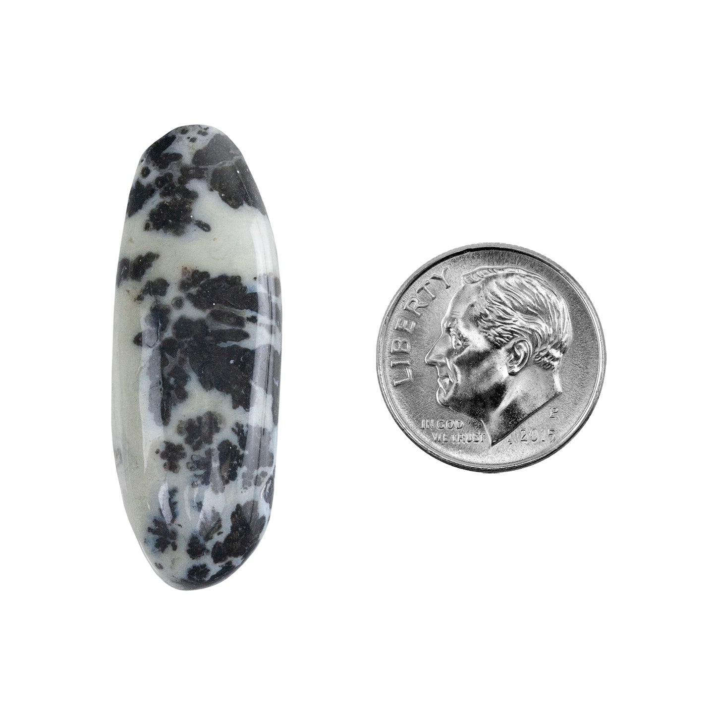 Dendritic Agate Gemstone - Freeform Cabochon 36mm x 13mm - Pkg/1 with dime