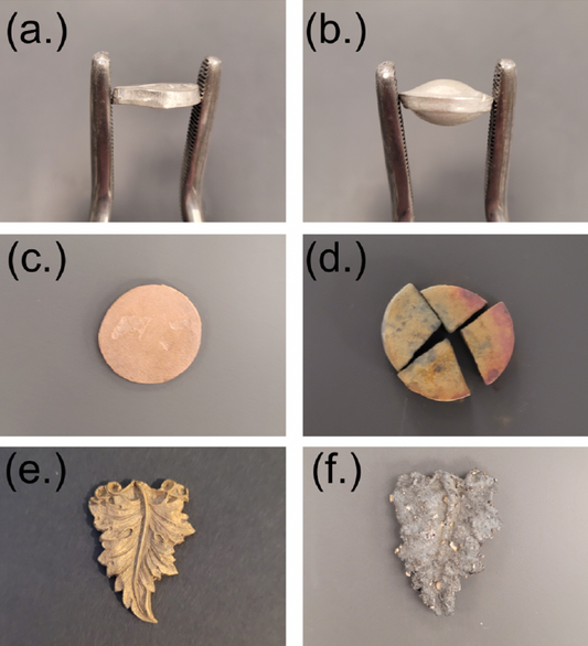 From the University Lab to the Art Studio