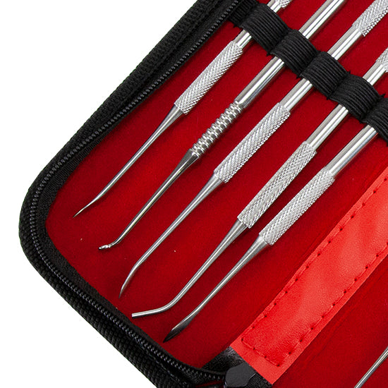 Stainless Steel Double Ended Sculpting & Carving Tools in Case - Set/10