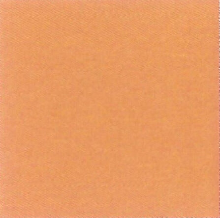 Medium Enamel Opaque #5830 Orange sample