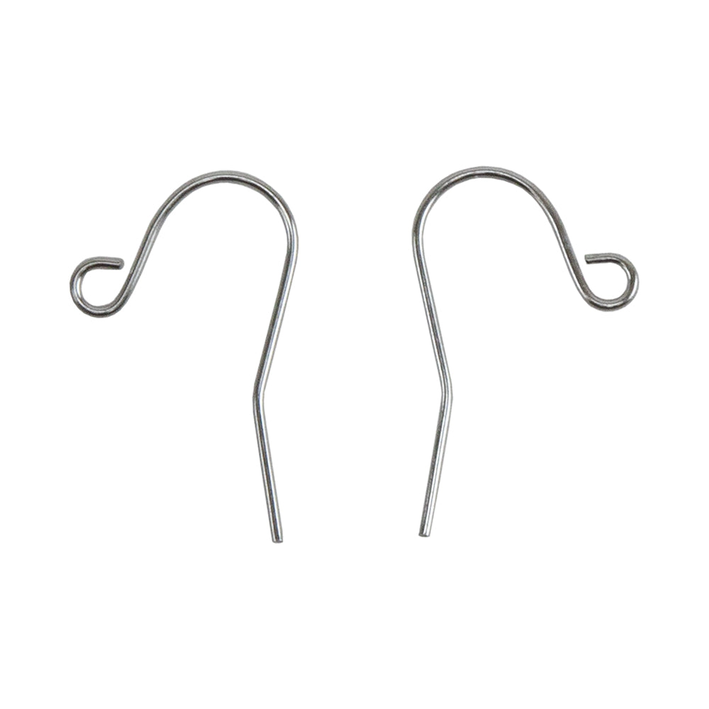 Stainless Steel Earring Hooks - 