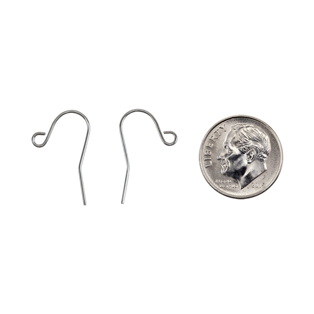 Stainless Steel Earring Hooks - with dime