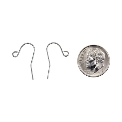 Stainless Steel Earring Hooks - Pkg/200 with dime