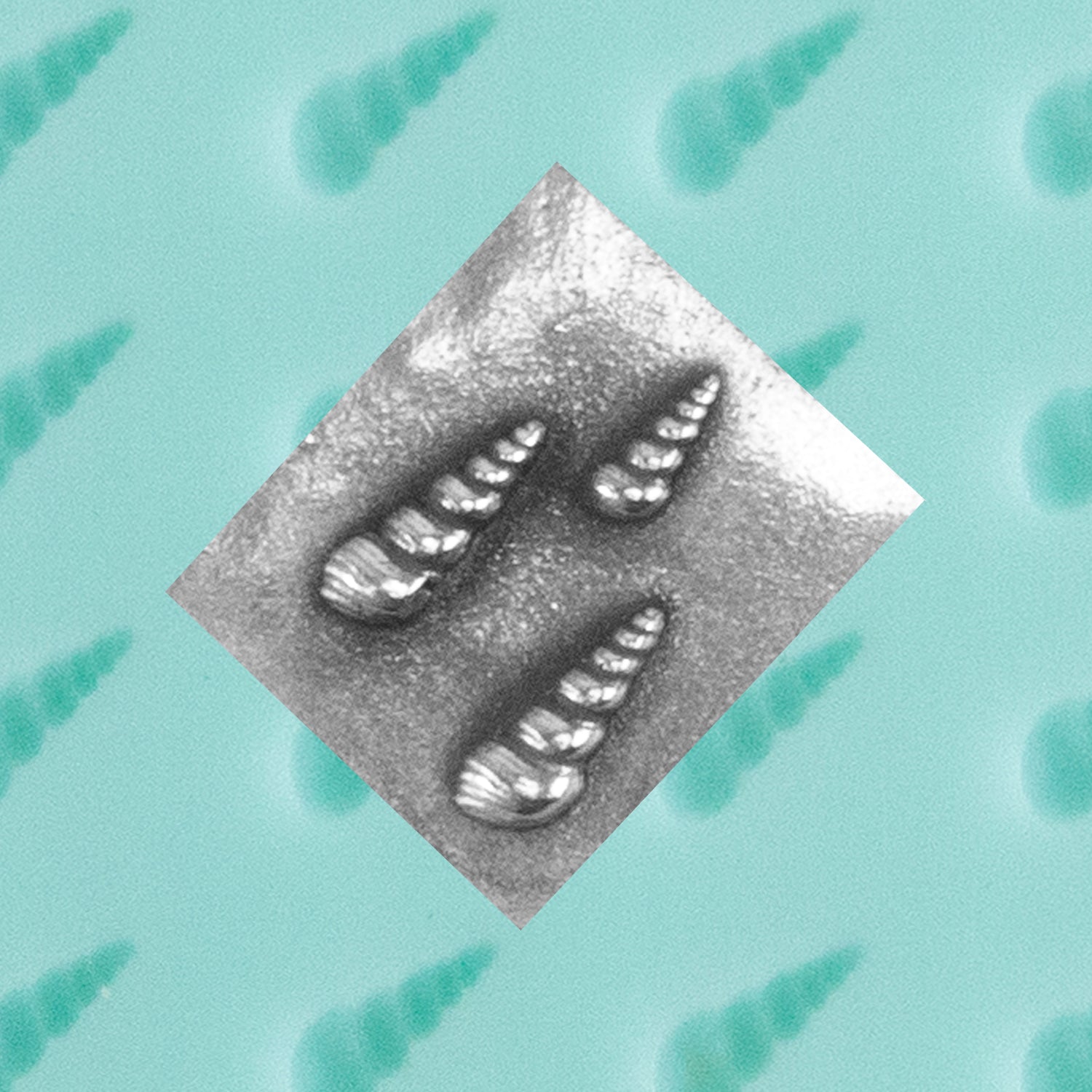 green silicone Finishing Touches Mold - Spiral Shell with silver sample