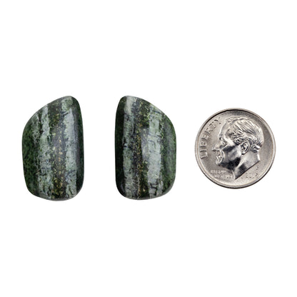 Chrysotile Serpentine - Freeform Cabochon Matched Pair 23mm x 14mm with dime