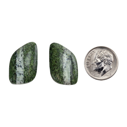 Chrysotile Serpentine - Freeform Cabochon Matched Pair 24mm x 16mm with dime