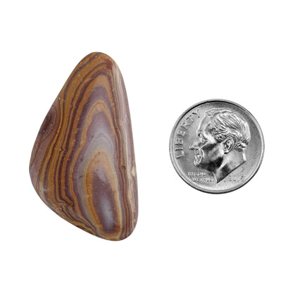 Rainbow Hickoryite - Freeform Cabochon 34mm x 19mm - Pkg/1 with dime