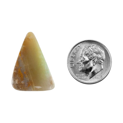 Silica Opalwood - Freeform Cabochon 23mm x 16mm - Pkg/1
