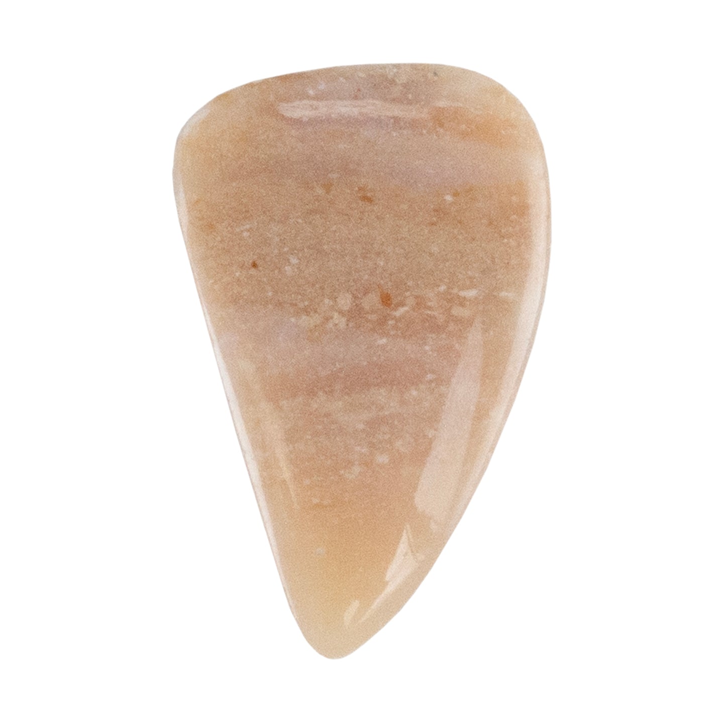 Silica Opalwood - Freeform Cabochon 23mm x 15mm - Pkg/1