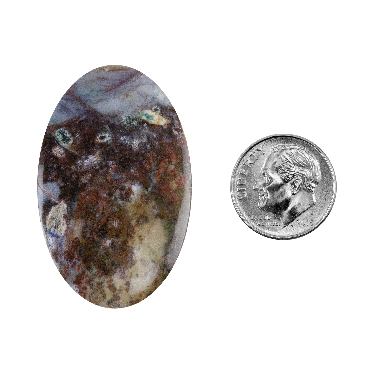 Opalwood - Oval Cabochon 41mm x 25mm - Pkg/1 with dime