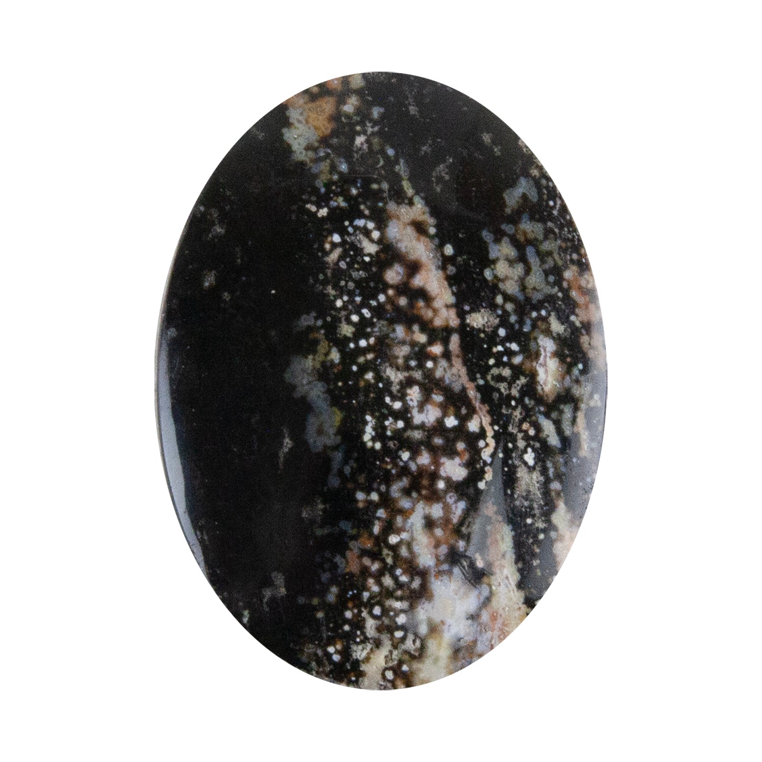 Opalwood - Oval Cabochon 34mm x 25mm - Pkg/1