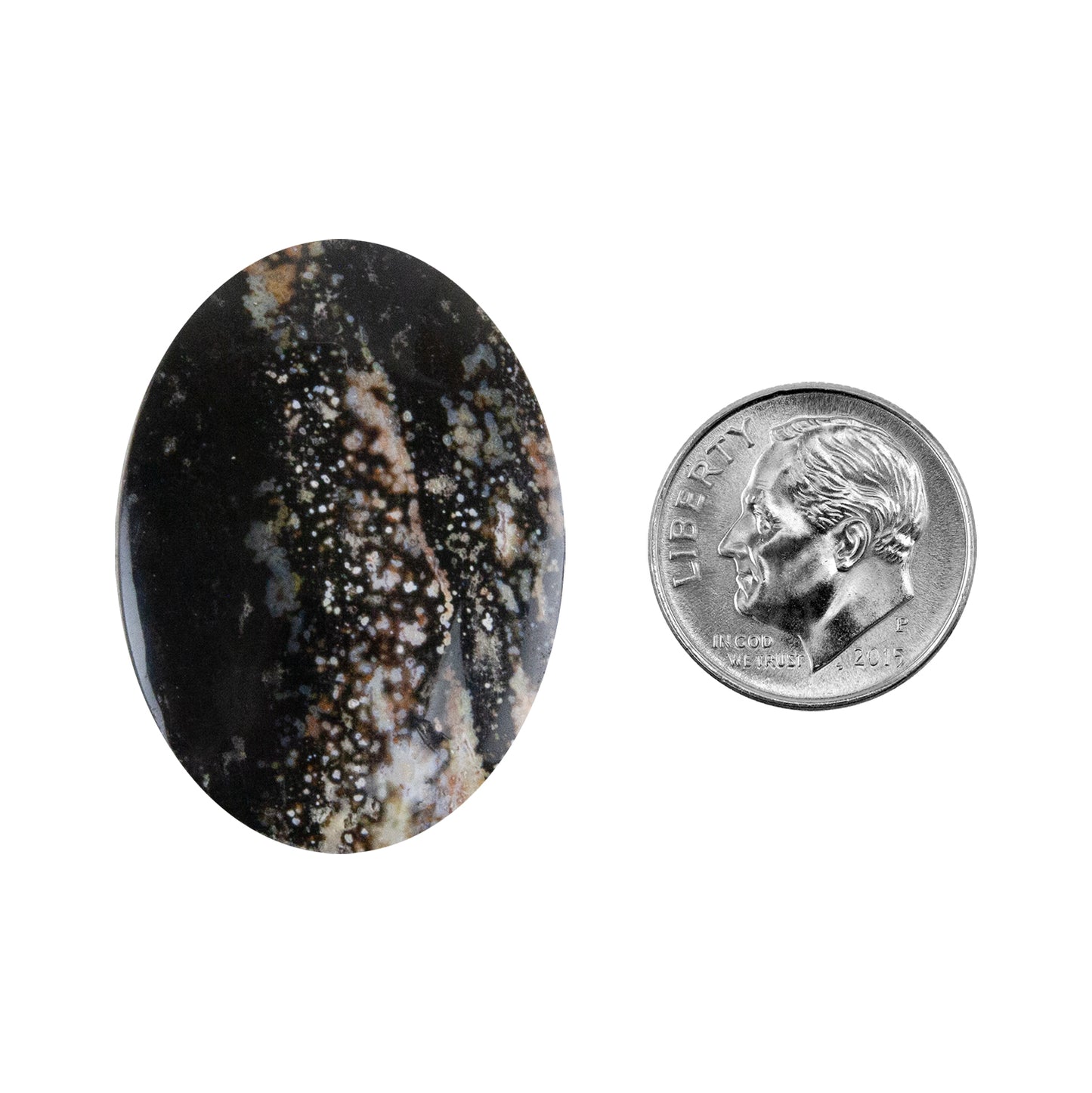 Opalwood - Oval Cabochon 34mm x 25mm - Pkg/1 with dime
