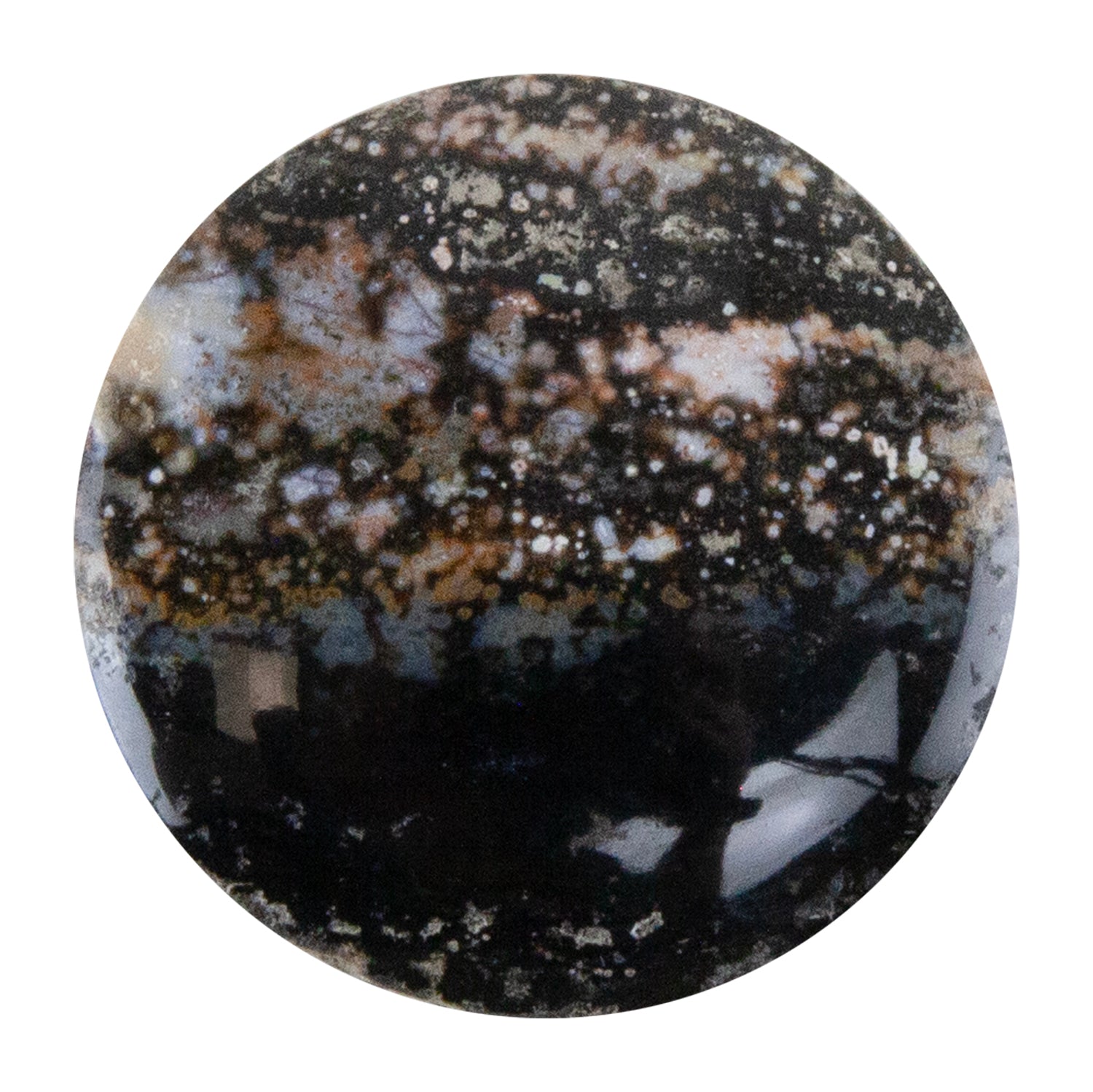 Opalwood - Round Cabochon 28mm  - Pkg/1