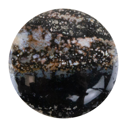 Opalwood - Round Cabochon 28mm  - Pkg/1