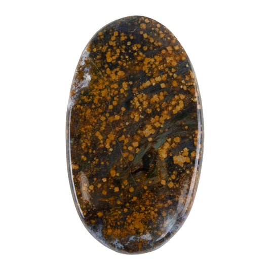 Opalwood - Oval Cabochon 33mm x 19mm - Pkg/1