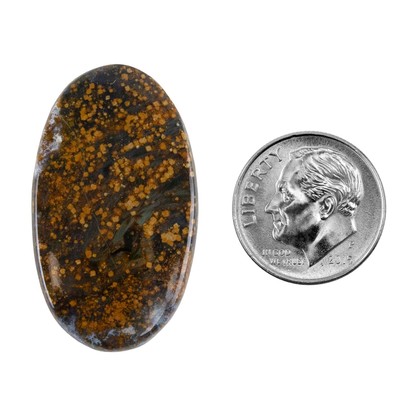 Opalwood - Oval Cabochon 33mm x 19mm - Pkg/1 with dime