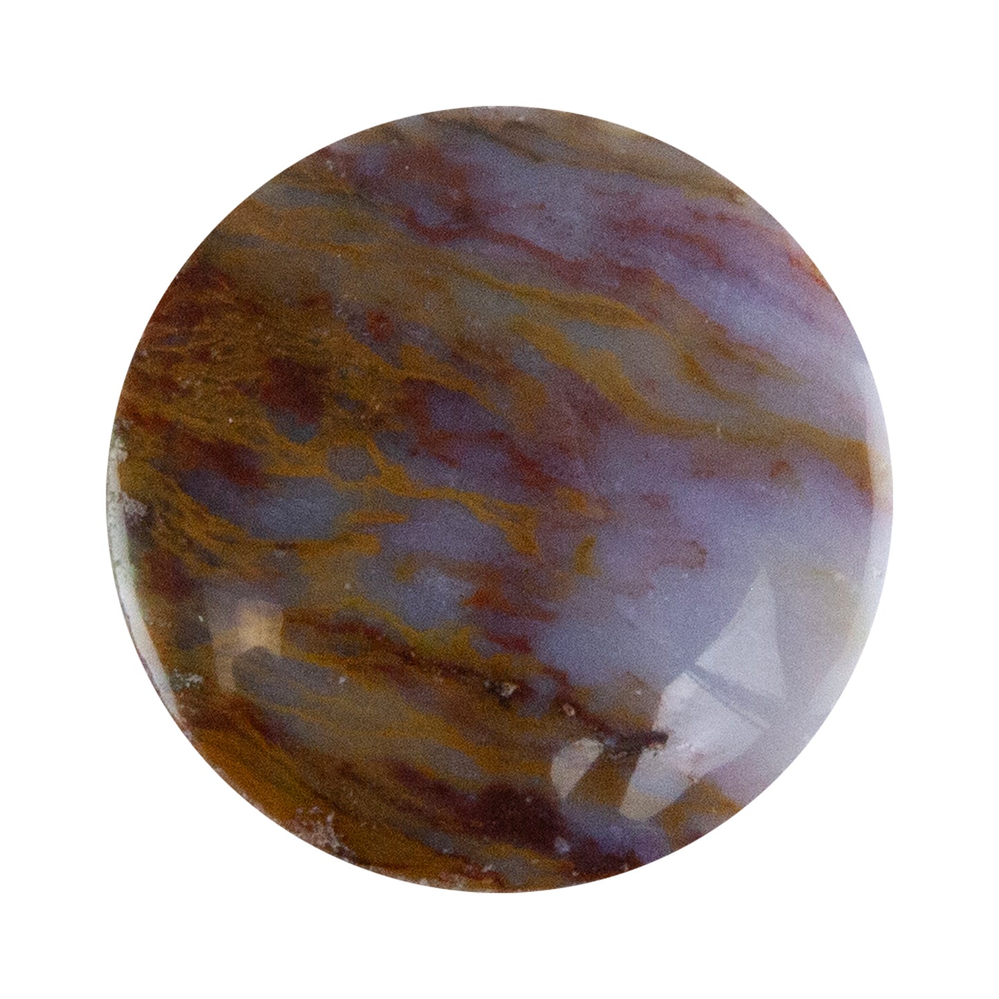 Opalwood - Round Cabochon 26mm - Pkg/1