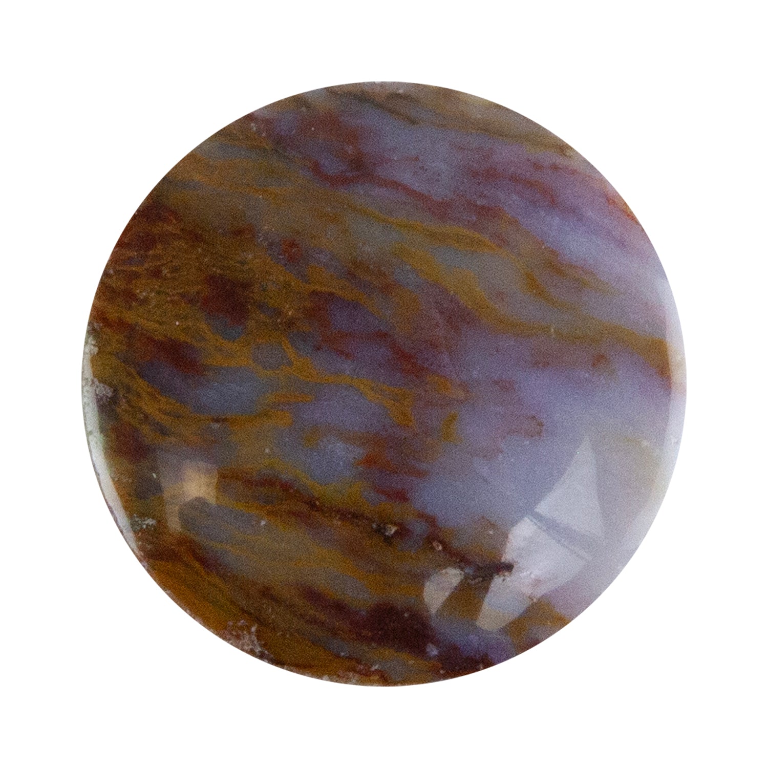 Opalwood - Round Cabochon 26mm - Pkg/1