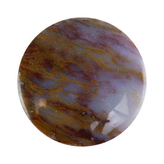 Opalwood - Round Cabochon 26mm - Pkg/1