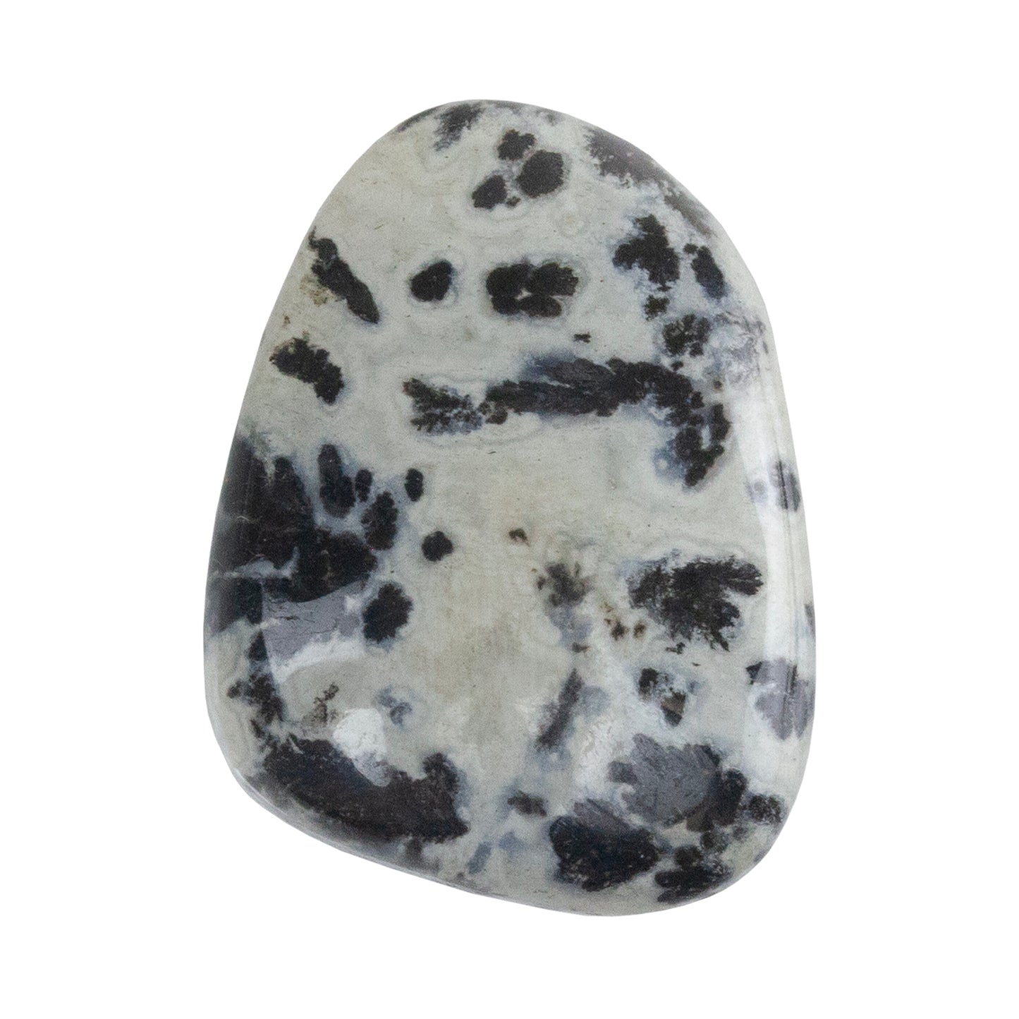 Dendritic Agate Gemstone - Freeform Cabochon 29mm x 21mm - Pkg/1