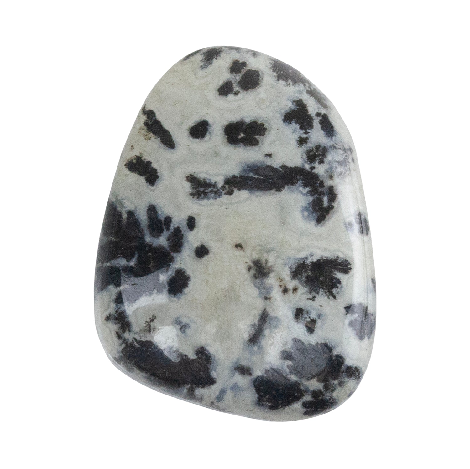 Dendritic Agate Gemstone - Freeform Cabochon 29mm x 21mm - Pkg/1