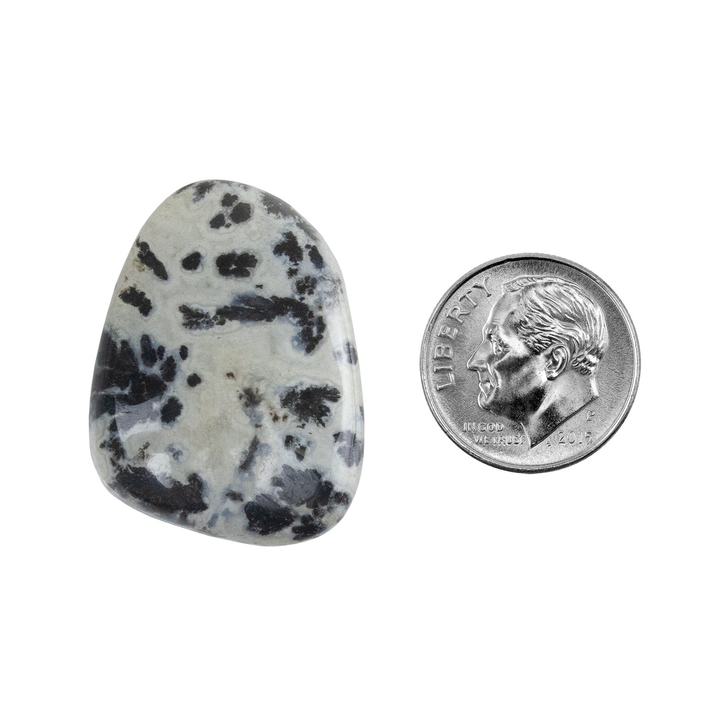 Dendritic Agate Gemstone - Freeform Cabochon 29mm x 21mm - Pkg/1 with dime