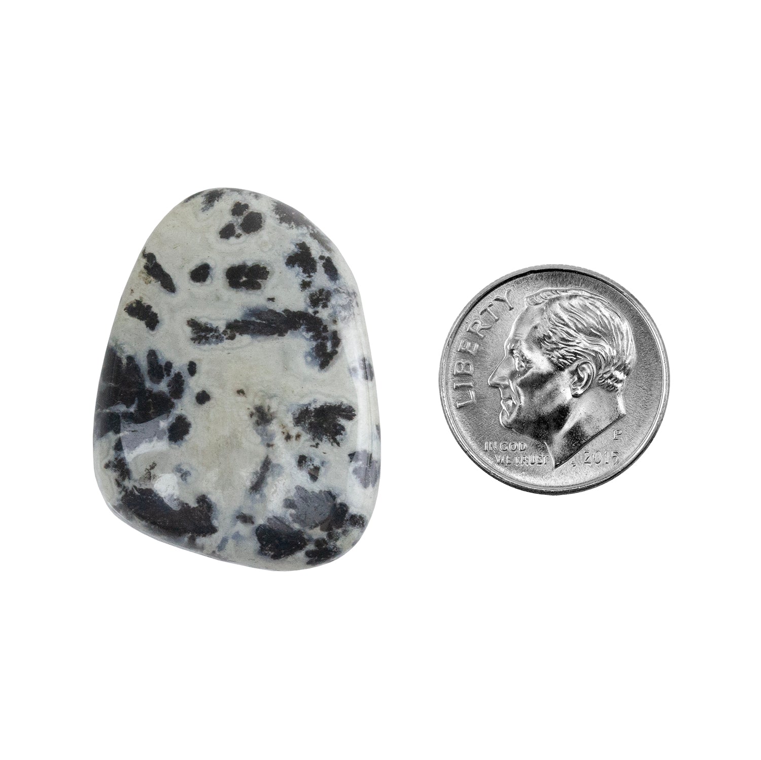 Dendritic Agate Gemstone - Freeform Cabochon 29mm x 21mm - Pkg/1 with dime
