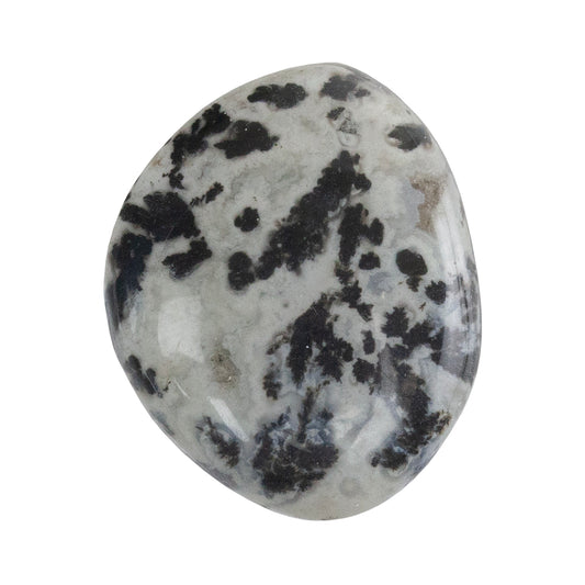 Dendritic Agate Gemstone - Freeform Cabochon 27mm x 22mm - Pkg/1 