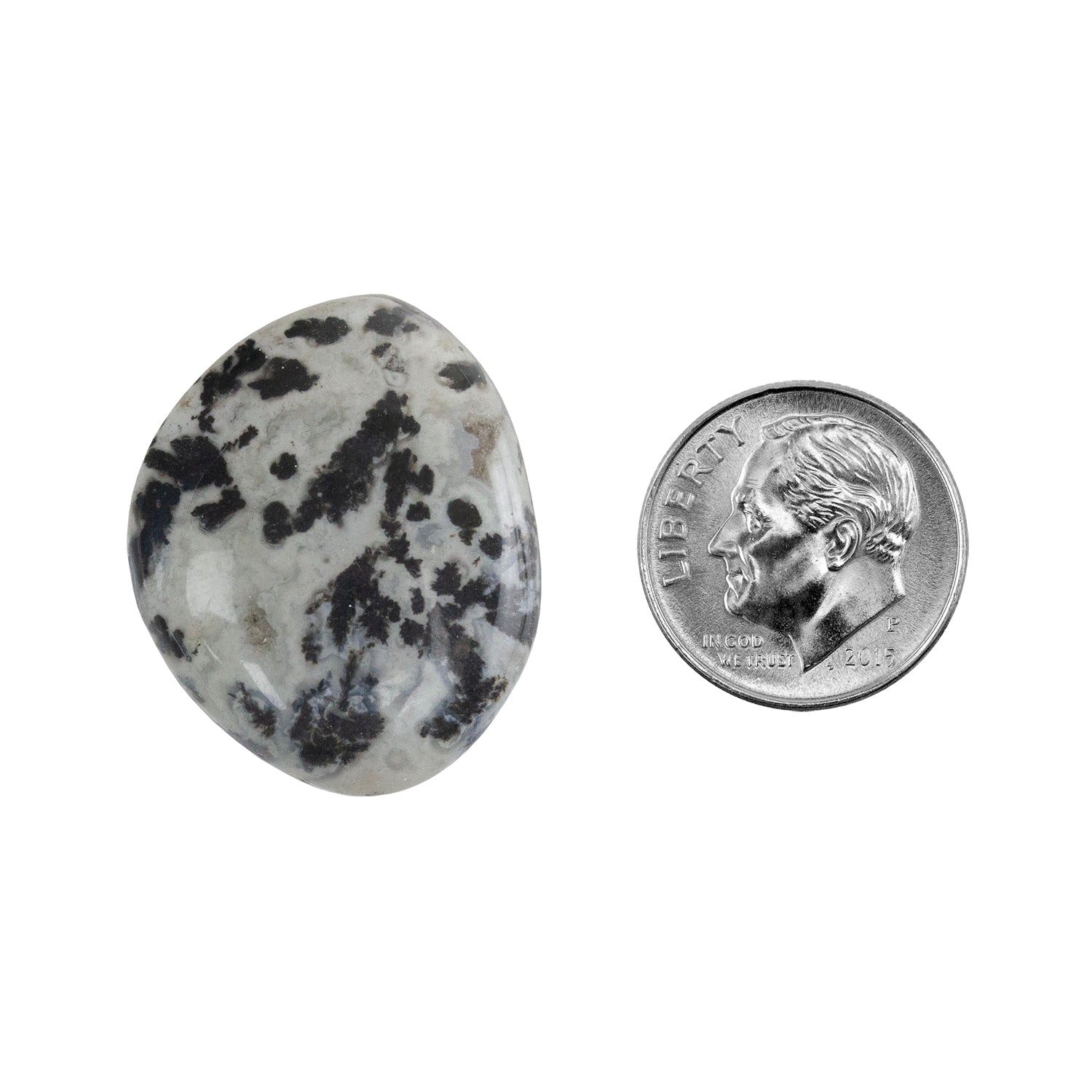 Dendritic Agate Gemstone - Freeform Cabochon 27mm x 22mm - Pkg/1 with dime