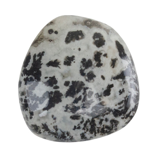 Dendritic Agate Gemstone - Freeform Cabochon 27mm x 25mm - Pkg/1