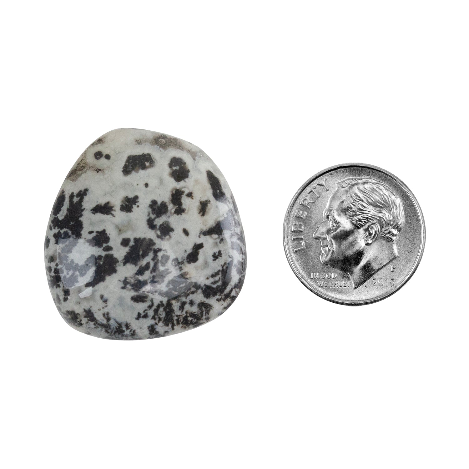 Dendritic Agate Gemstone - Freeform Cabochon 27mm x 25mm - Pkg/1 with dime