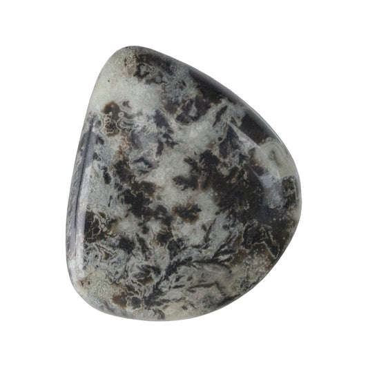 Dendritic Agate Gemstone - Freeform Cabochon 26mm x 22mm - Pkg/1