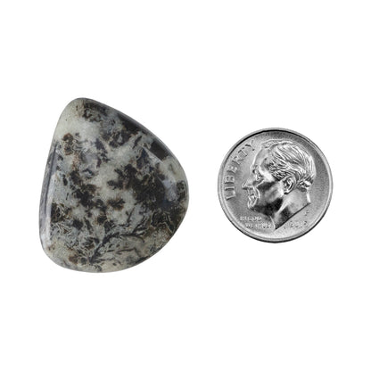 Dendritic Agate Gemstone - Freeform Cabochon 26mm x 22mm - Pkg/1 with dime