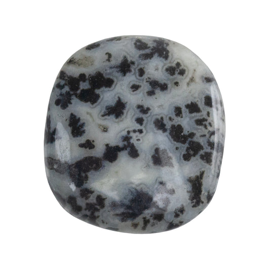 Dendritic Agate Gemstone - Freeform Cabochon 27mm x 24mm - Pkg/1
