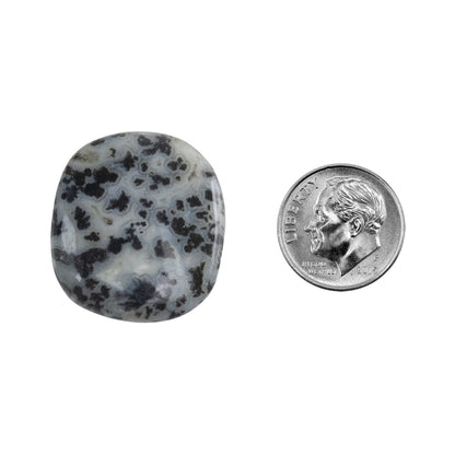 Dendritic Agate Gemstone - Freeform Cabochon 27mm x 24mm - Pkg/1 with dime