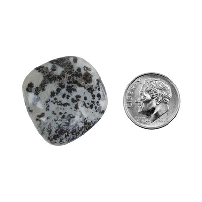 Dendritic Agate Gemstone - Freeform Cabochon 29mm x 27mm - Pkg/1 with dime