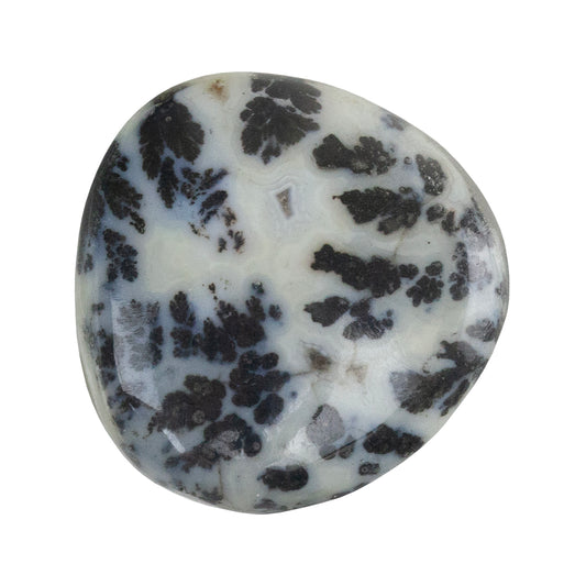 Dendritic Agate Gemstone - Freeform Cabochon 27mm x 26mm - Pkg/1
