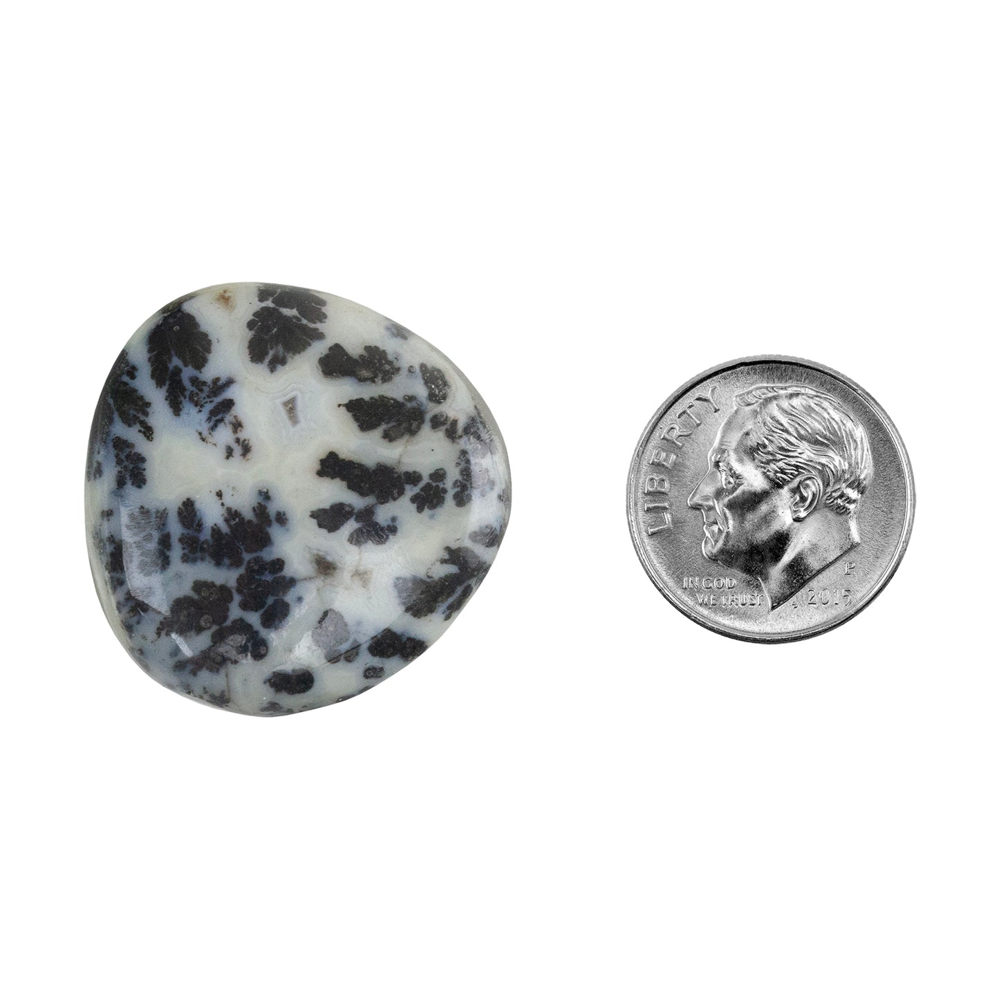 Dendritic Agate Gemstone - Freeform Cabochon 27mm x 26mm - Pkg/1 with dime