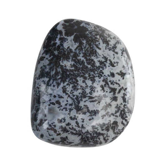 Dendritic Agate Gemstone - Freeform Cabochon 27mm x 21mm - Pkg/1