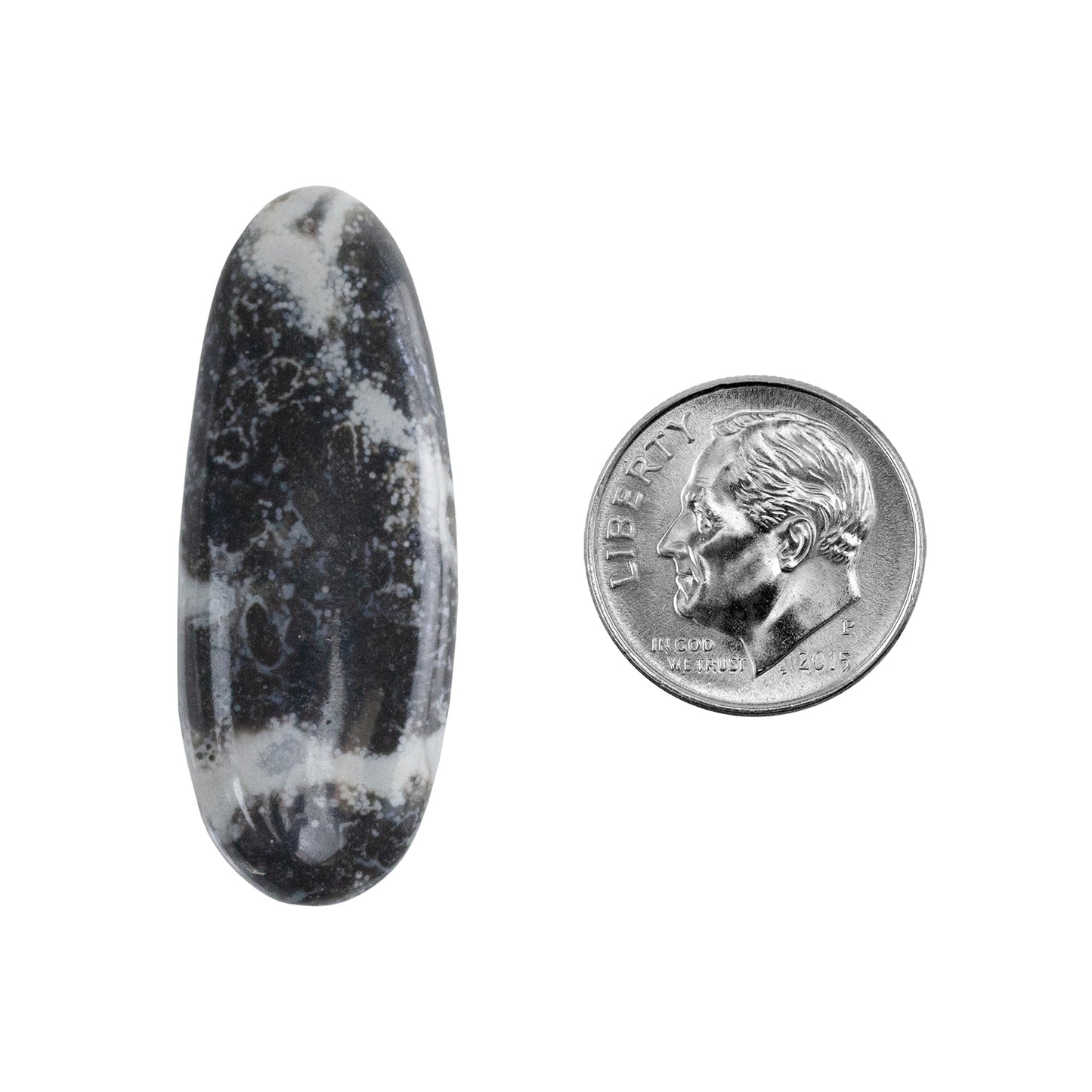 Dendritic Agate Gemstone - Freeform Cabochon 36mm x 14mm - Pkg/1 with dime