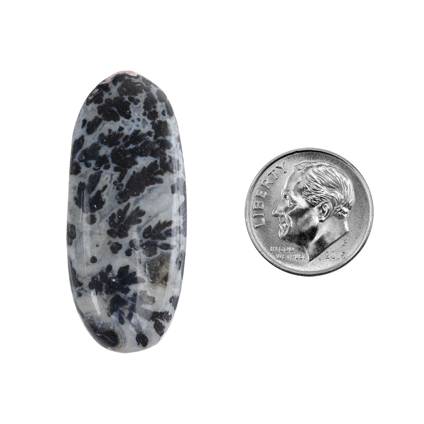 Dendritic Agate Gemstone - Freeform Cabochon 38mm x 16mm - Pkg/1with dime