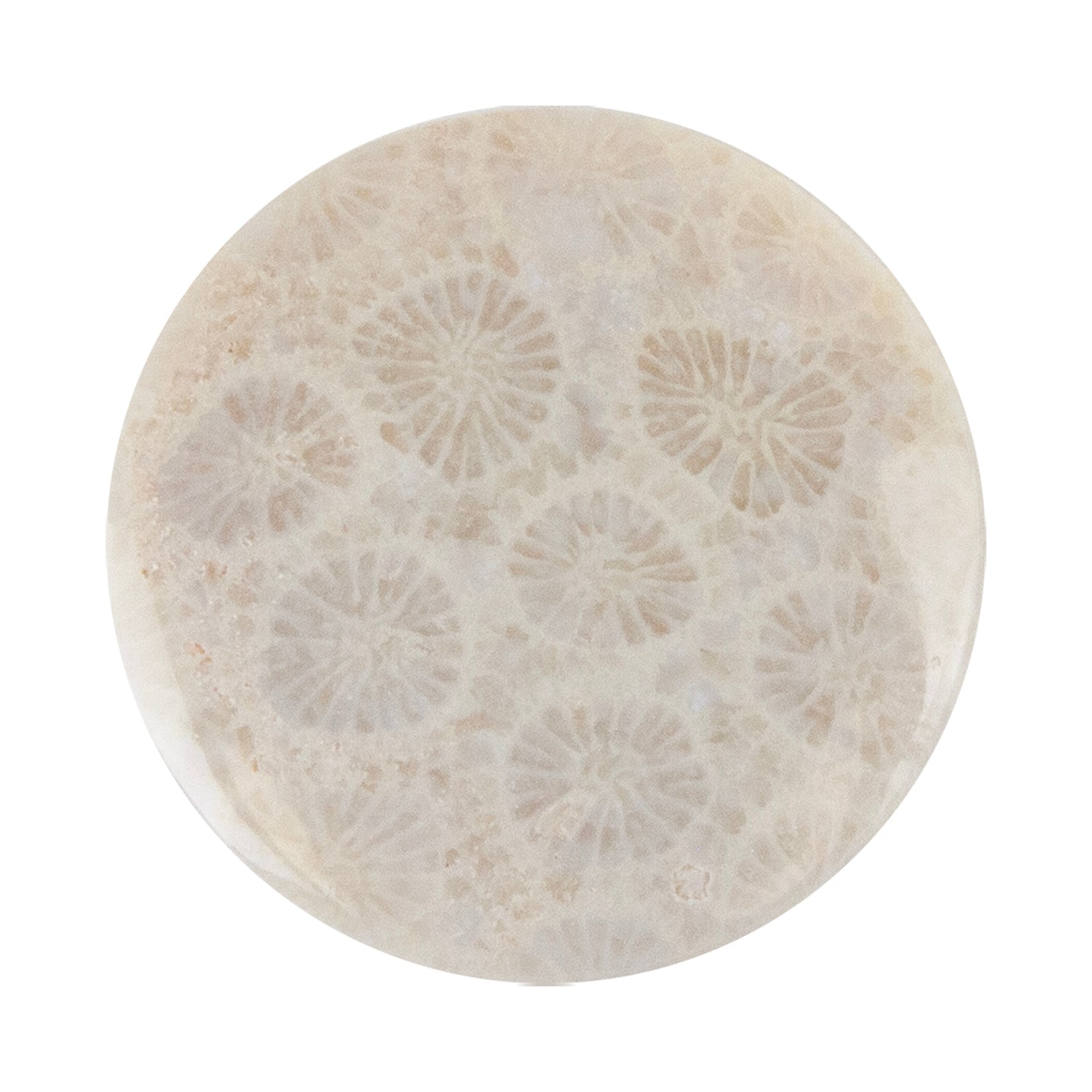 Fossilized Coral - Round Cabochon 26mm - Pkg/1 - Cool Tools