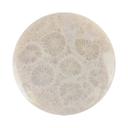 Fossilized Coral - Round Cabochon 26mm - Pkg/1 - Cool Tools