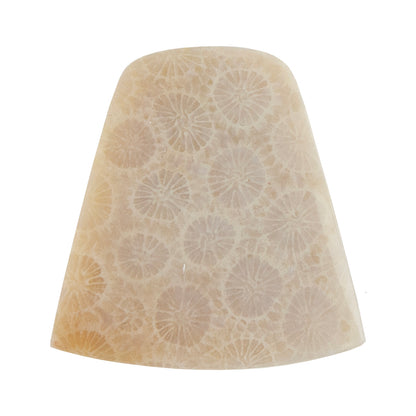 Fossilized Coral - Freeform Cabochon 31mm x 29mm - Pkg/1