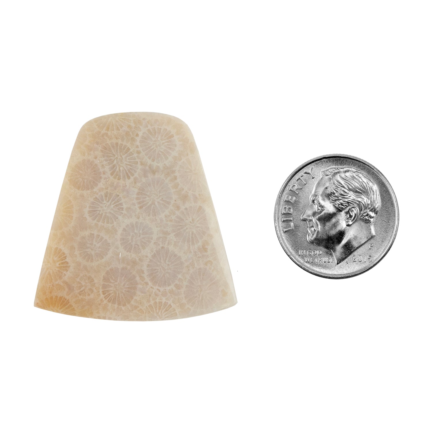 Fossilized Coral - Freeform Cabochon 31mm x 29mm - Pkg/1 with dime