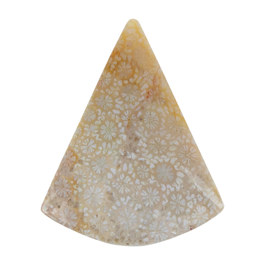 Fossilized Coral - Freeform Cabochon 39mm x 31mm - Pkg/1
